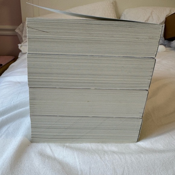 Chestnut springs series books 2-5 - Picture 4 of 6